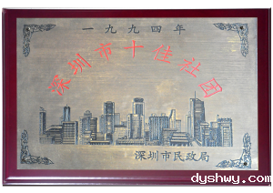 民政局颁发的“深圳市十佳社团”