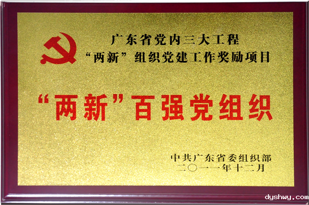 “两新”百强党组织