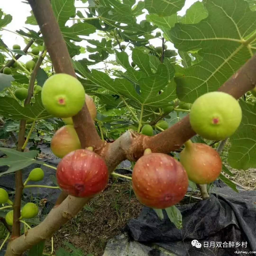 1526631982112738.jpg 1526631982112738.jpg