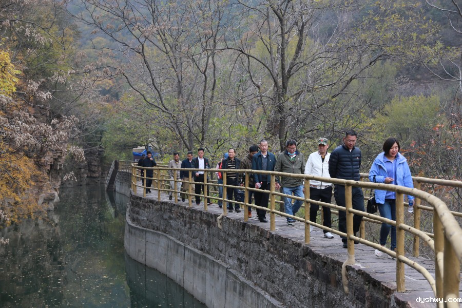 1603984993110621.jpg 1603984993110621.jpg